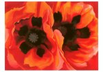 O'Keeffe Georgia; Mohnblumen , 1927